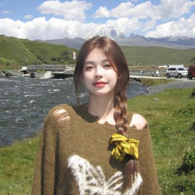 杨成武强攻东团堡
